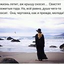���� ����, ���������, 82 ���� - ��������� 8 �������� 2018 � ������ ���� ����������