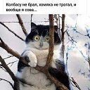 ���� ������, ��������, 58 ��� - ��������� 18 ������� 2019 � ������ ������ ��������