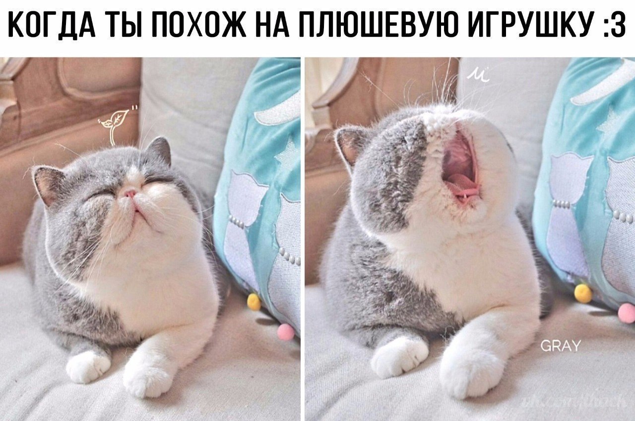  - 7  2018  16:43