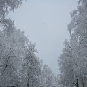 ���� ���������, ���� - ��������� 24 ������� 2018 � ������ �����-��������� ����� ����� �����