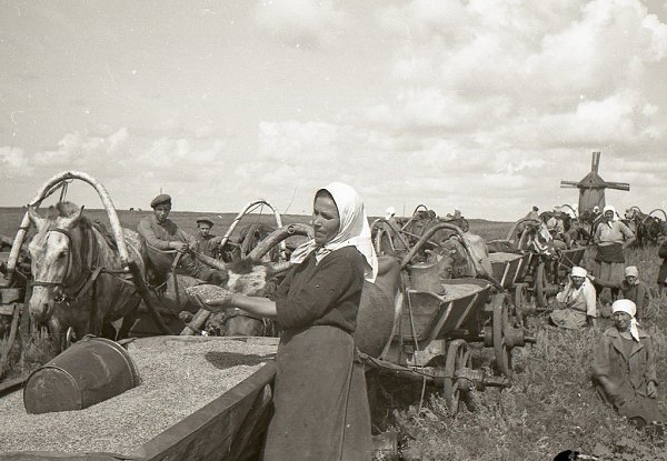 Колхоз «Путь Ленина» (село Васильевка, Ставропольский район, Куйбышевская область) на фотографиях ... - 2
