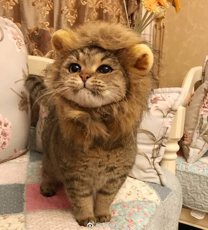   :3 - 4