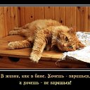 ���� ��������, ����� �������� - ��������� 31 ������� 2018 � ������ ���� ����������