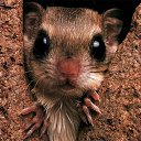 ���� Mihail, �����������, 54 ���� - ��������� 6 ������� 2018 � ������ ���� ����������