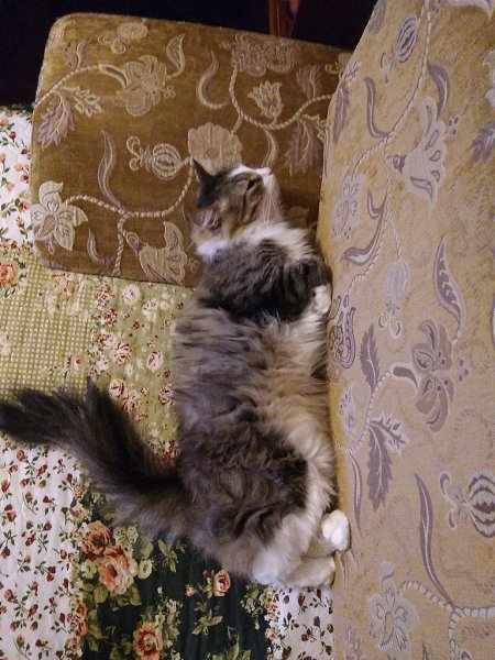 #�������_�����.� 2013 �������� ������, ������ �������,� ������� ������,�������� ��������� �� ����� ... - 5