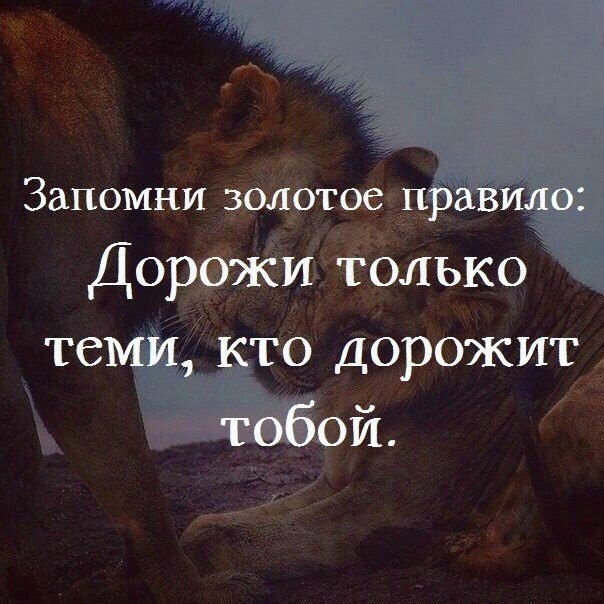    - 3  2018  16:48