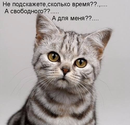    - 22  2018  16:42