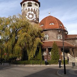 Aleksandr, , 70 