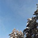 ���� ���������( �� �������), ��������� - ��������� 12 ������ 2019 � ������ �2019�