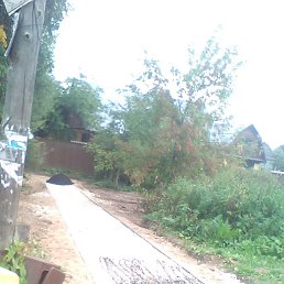 �����, ������