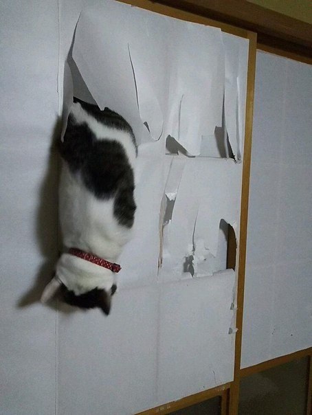         - 5