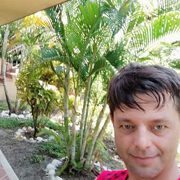 Airat, ������������, 48 ���