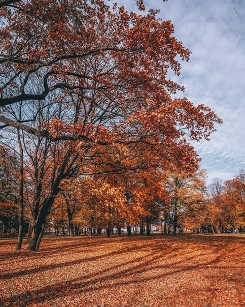 ce  ecapoco ca, ep - 8