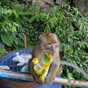 ���� �������, ���������, 46 ��� - ��������� 21 ������� 2018 � ������ ����������