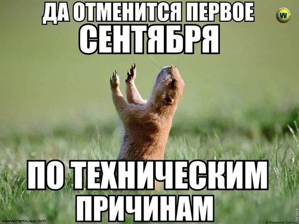 ☆   ☆ - 5  2018  16:48