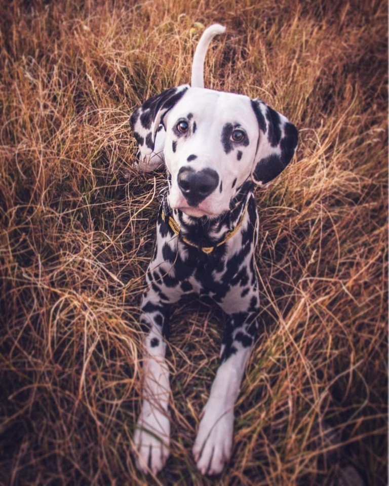 ���� https://fotostrana.ru/away?to=/sl/rhR2 hi.wiley - 3