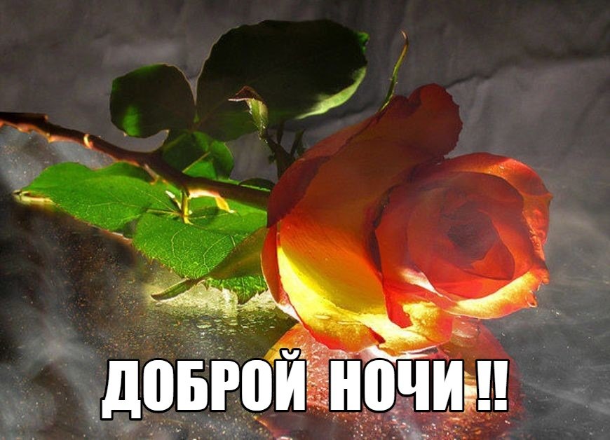  ,    . - 6  2019  21:48