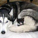 ���� ������, ����������� - ��������� 2 ������� 2018 � ������ ������ ��������