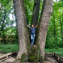 ���� ���������, �������, 38 ��� - ��������� 2 ������� 2018 � ������ ���� ����������