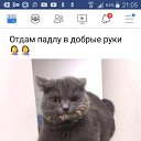 ���� ���������, ������, 51 ��� - ��������� 17 ������� 2018 � ������ ���� ����������