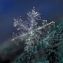 ���� ����, ������, 44 ���� - ��������� 27 ������� 2019 � ������ ���� ����������