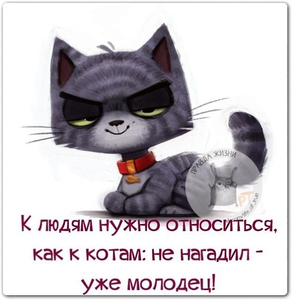   - 14  2018  16:31
