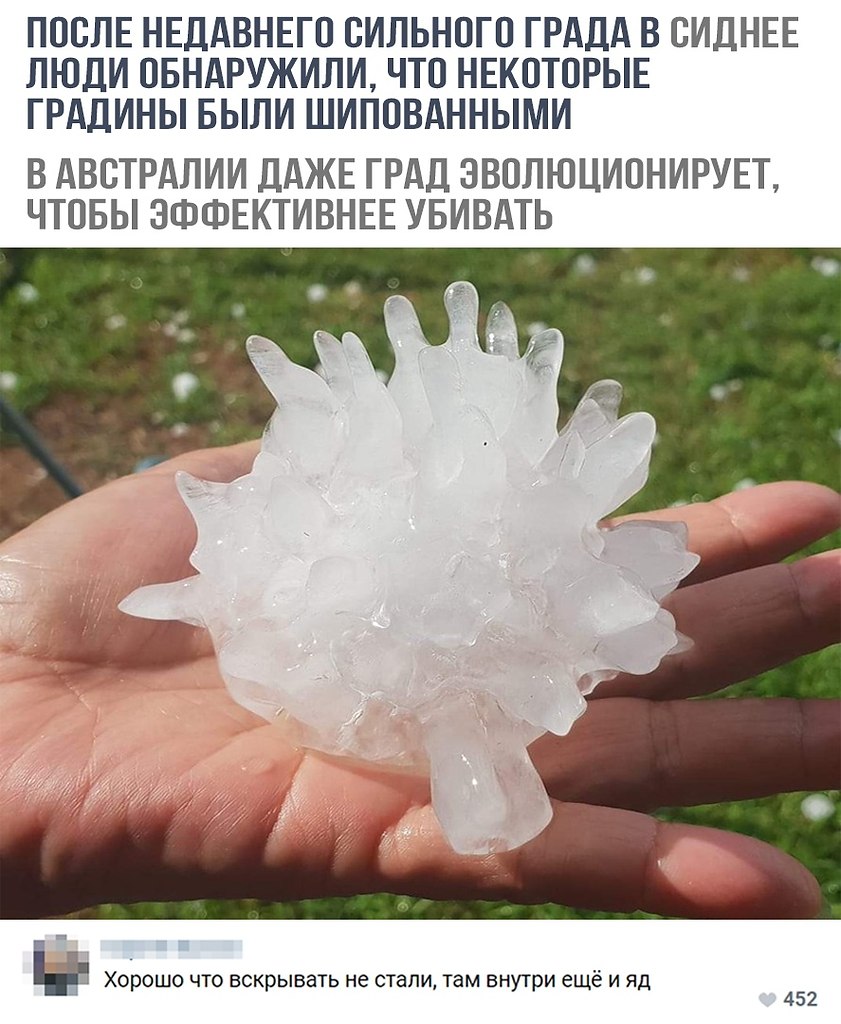    - 24  2018  16:33