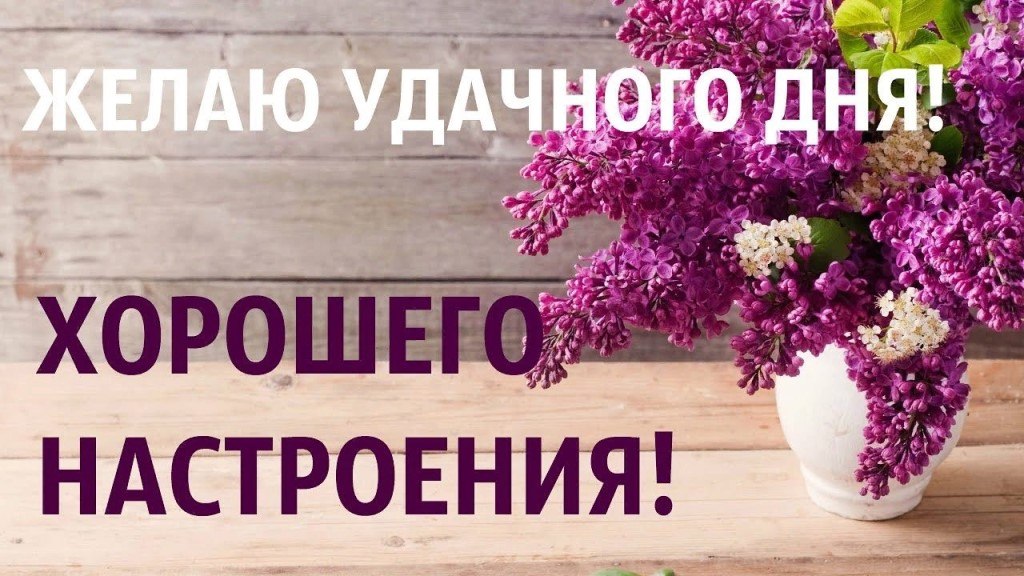   ,    . - 11  2019  12:19