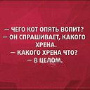 ���� ��������, �������, 70 ��� - ��������� 16 ������� 2019 � ������ ���� ����������