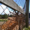 ���� ����, ������ �����, 47 ��� - ��������� 10 ������ 2018