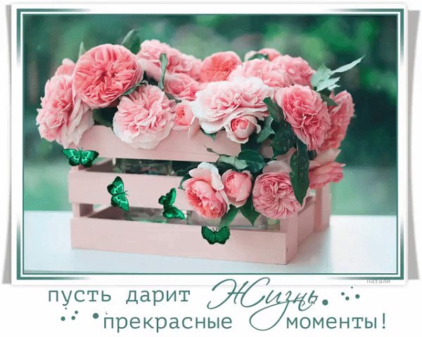 А ведь и правда, столько красоты, В берёзках, что невестами одеты, В весеннем дне, когда цветут ...