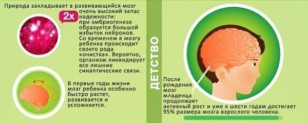 Как возраст влияет на мозг человека? Время летит, мы стареем, а вместе с нами - и наш мозг. - 2