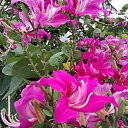 ���� ��������, ������, 61 ��� - ��������� 27 �������� 2018 � ������ ������ ��������