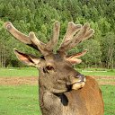  , -, 64  -  9  2019   - 