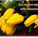 ���� �������, �������� - ��������� 26 ����� 2019 � ������ ������ ��������