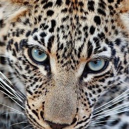 ���� ������, ������ - ��������� 13 �������� 2018