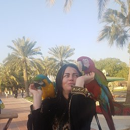  , --, 35  -  24  2019