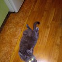 ���� �����, ������������, 54 ���� - ��������� 20 �������� 2018 � ������ ���� ����������