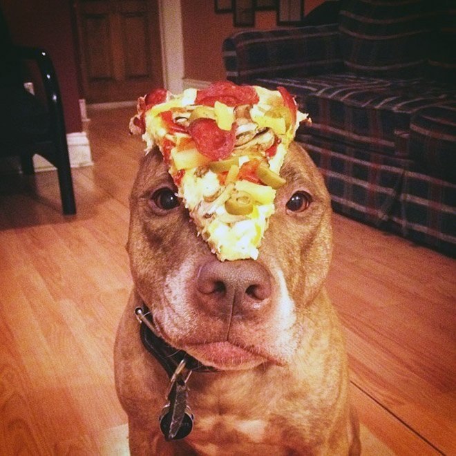   .: stuffonscoutshead (instagram) - 4