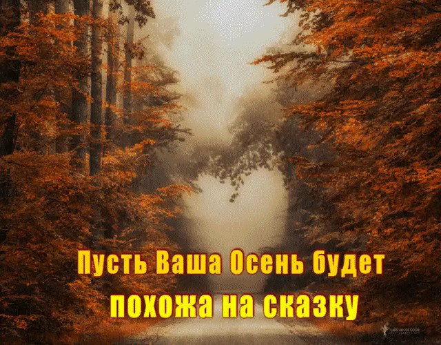  , , -,   -,    ,   ...