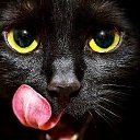 ���� �����, ������ �������� - ��������� 29 ���� 2018 � ������ ������- ��������