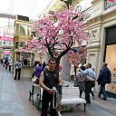 ���� �����, ����, 43 ���� - ��������� 25 ����� 2019 � ������ ���� ����������