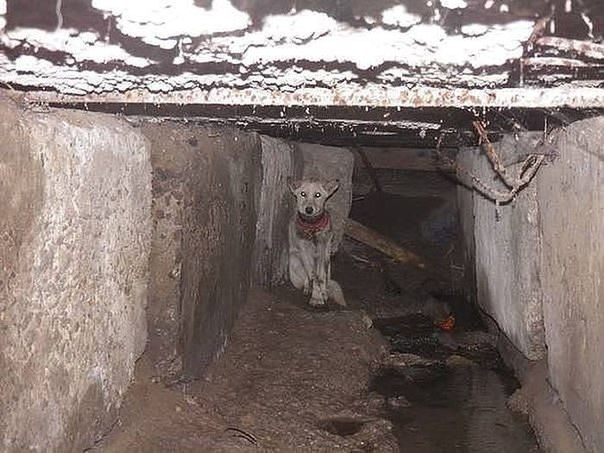    .. ,  !