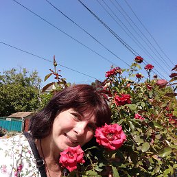 ������, �����, 49 ���