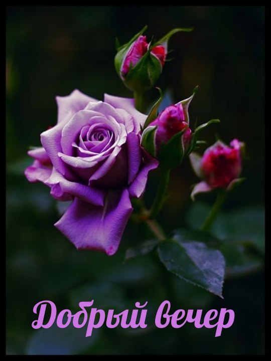   ,    . - 1  2019  19:03 - 2