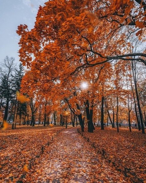 ce  ecapoco ca, ep - 6