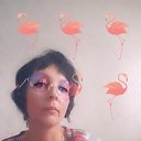 ���� ���, ����, 51 ��� - ��������� 22 ���� 2018 � ������ ���� ����������