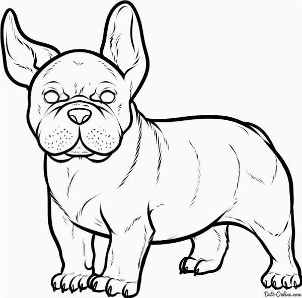 Georgia Bulldogs Mascot Coloring Pages - Coloring Cool