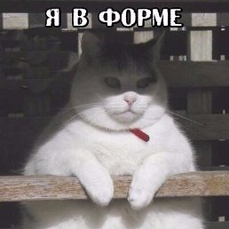 ����, ����, 43 ����
