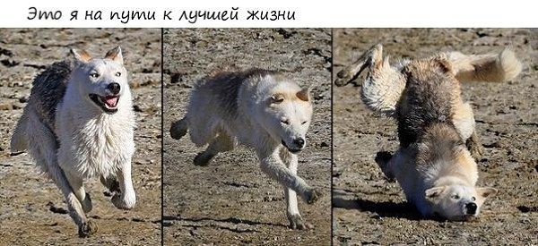 ����� �������� - 5 ����� 2019 � 16:48